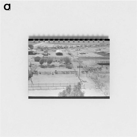アートメモ帳-Dairy Cattle Drive
 - ラッセル リー Memo.