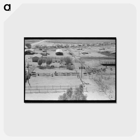 アートポストカード-Dairy Cattle Drive
 - ラッセル リー Postcard.