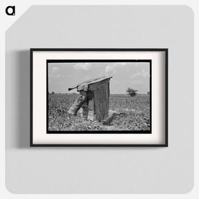 アートポスター-Privy of Sharecropper
 - ラッセル リー Poster.
