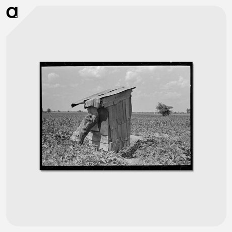 アートポストカード-Privy of Sharecropper
 - ラッセル リー Postcard.