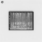 アートメモ帳-Jack Pine Stand, Black River Falls
 - ラッセル リー Memo.