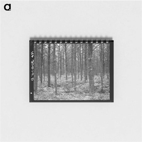アートメモ帳-Jack Pine Stand, Black River Falls
 - ラッセル リー Memo.