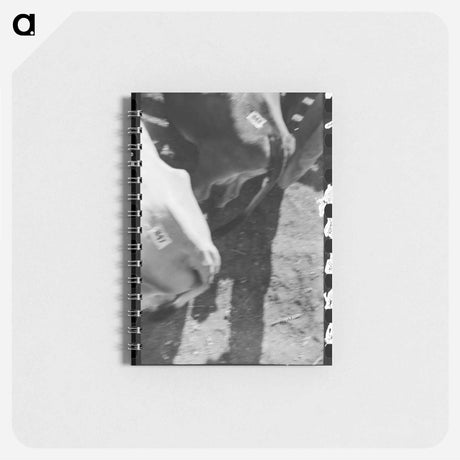 アートメモ帳-Cattle Auction, San Angelo
 - ラッセル リー Memo.