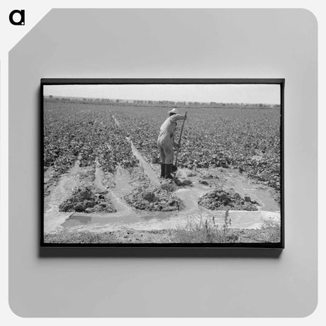 アートパネル-Irrigating Sugar Beets
 - ラッセル リー Canvas.