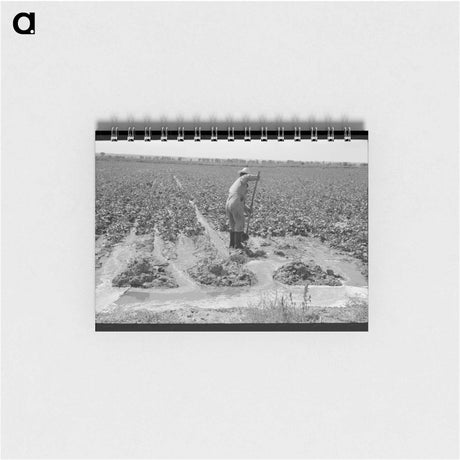 アートメモ帳-Irrigating Sugar Beets
 - ラッセル リー Memo.