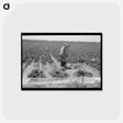 アートポストカード-Irrigating Sugar Beets
 - ラッセル リー Postcard.