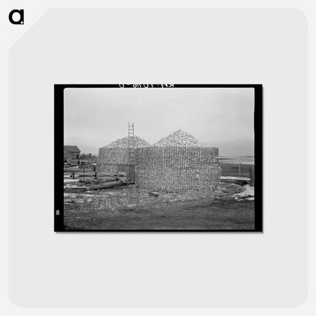 アートポストカード-Open Crib Corn Storage
 - ラッセル リー Postcard.