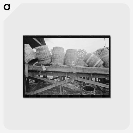 アートポストカード-Pitch Barrels, State Line, Mississippi
 - ラッセル リー Postcard.