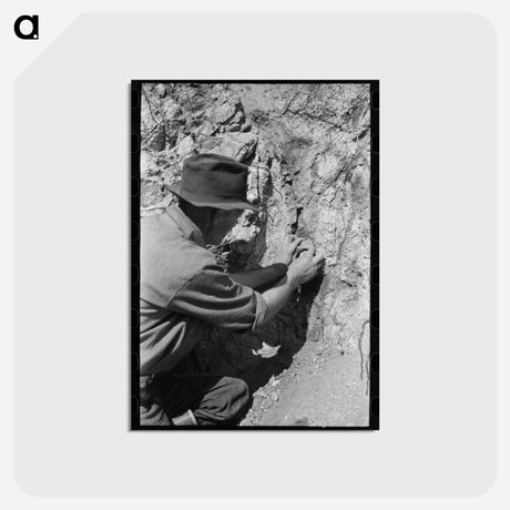 アートポストカード-Pinos Altos Prospector
 - ラッセル リー Postcard.