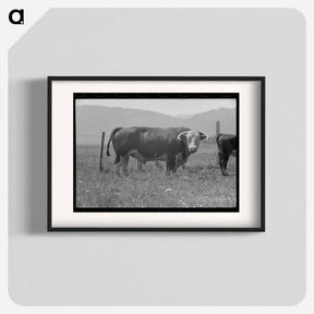 アートポスター-Bull's Head, Cruzen Ranch
 - ラッセル リー Poster.