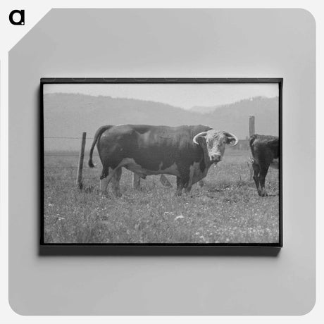 アートパネル-Bull's Head, Cruzen Ranch
 - ラッセル リー Canvas.