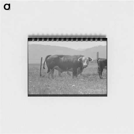 アートメモ帳-Bull's Head, Cruzen Ranch
 - ラッセル リー Memo.