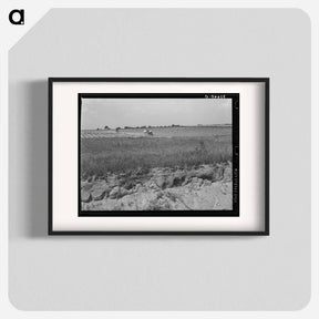 アートポスター-Oklahoma Cotton Field
 - ラッセル リー Poster.