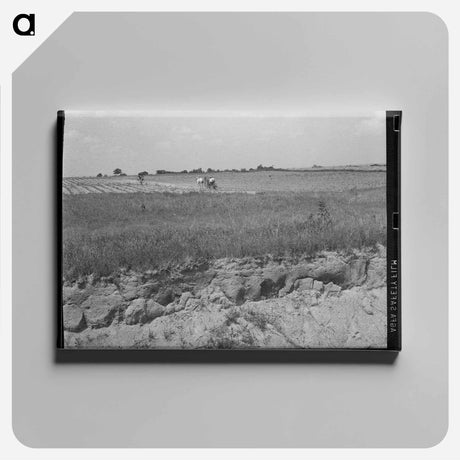 アートパネル-Oklahoma Cotton Field
 - ラッセル リー Canvas.