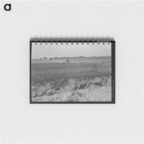 アートメモ帳-Oklahoma Cotton Field
 - ラッセル リー Memo.