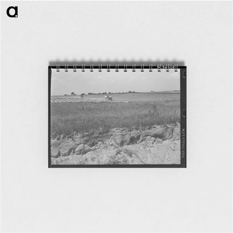 アートメモ帳-Oklahoma Cotton Field
 - ラッセル リー Memo.