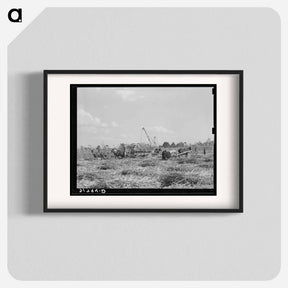 アートポスター-Sugarcane Harvest, Louisiana
 - ラッセル リー Poster.