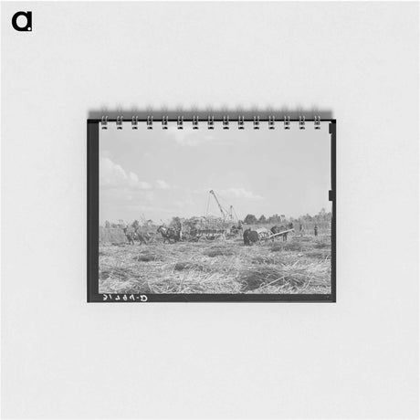 アートメモ帳-Sugarcane Harvest, Louisiana
 - ラッセル リー Memo.