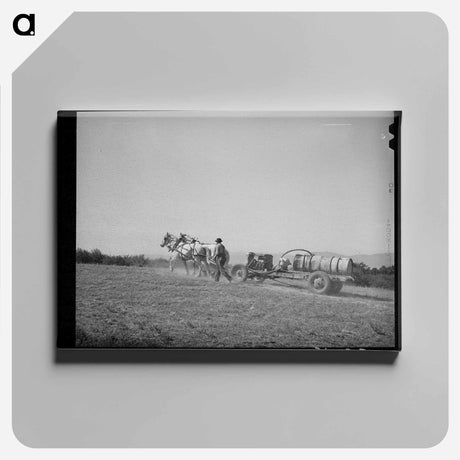 アートパネル-Cache County Orchard
 - ラッセル リー Canvas.