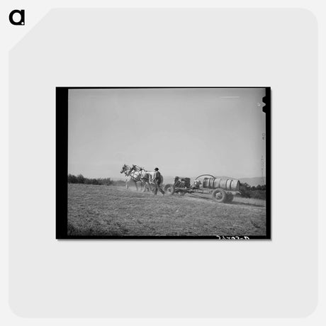アートポストカード-Cache County Orchard
 - ラッセル リー Postcard.
