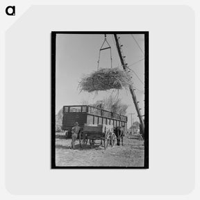 アートポストカード-Sugarcane Loading
 - ラッセル リー Postcard.