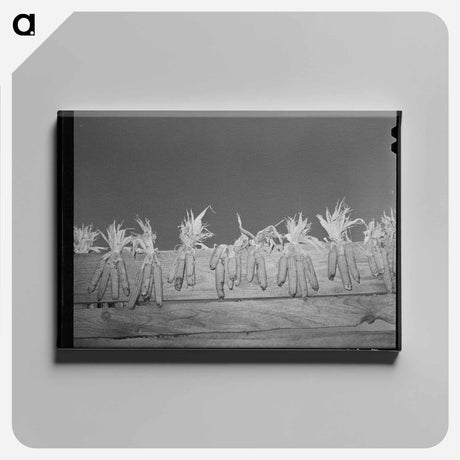 アートパネル-Corn Drying on Board Fence
 - ラッセル リー Canvas.