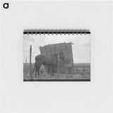 アートメモ帳-Windbreak on a Sharecropper Farm
 - ラッセル リー Memo.