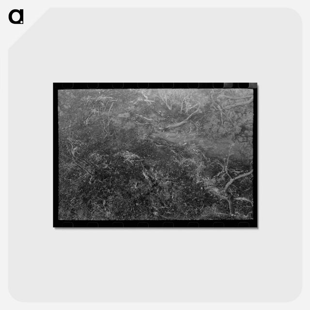 アートポストカード-Grass Fire, Malheur County, Oregon
 - ラッセル リー Postcard.