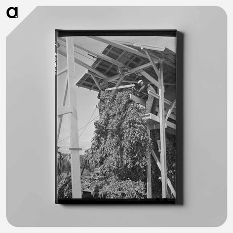 アートパネル-Hop Picker
 - ラッセル リー Canvas.