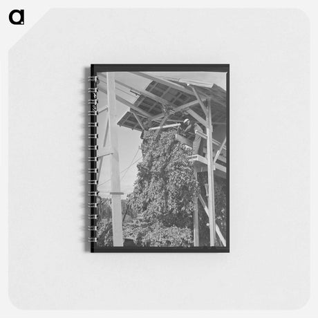アートメモ帳-Hop Picker
 - ラッセル リー Memo.