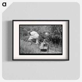 アートポスター-Berry Picking in Cache County
 - ラッセル リー Poster.