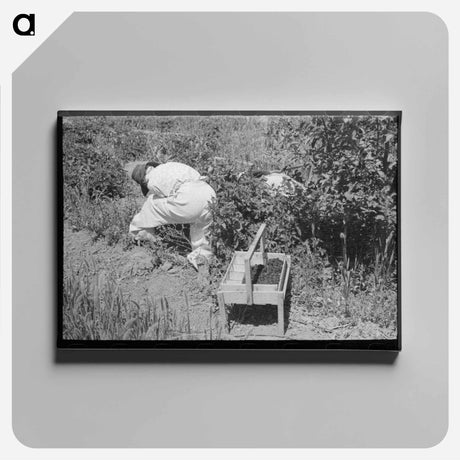 アートパネル-Berry Picking in Cache County
 - ラッセル リー Canvas.