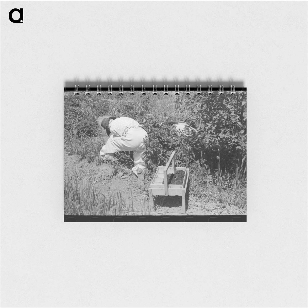 アートメモ帳-Berry Picking in Cache County
 - ラッセル リー Memo.