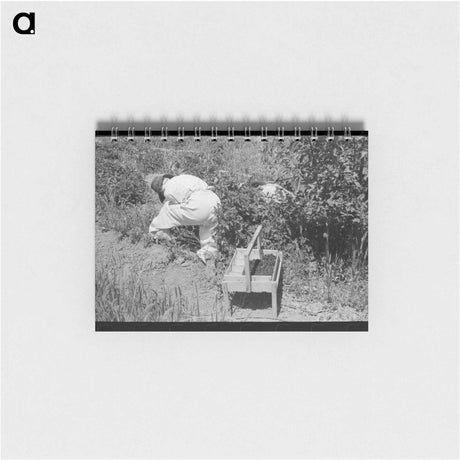 アートメモ帳-Berry Picking in Cache County
 - ラッセル リー Memo.