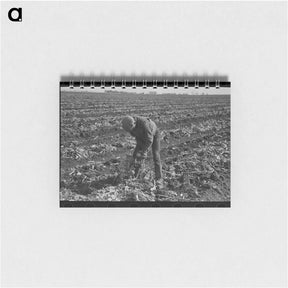 アートメモ帳-Topping Sugar Beets
 - ラッセル リー Memo.
