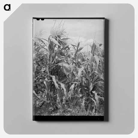 アートパネル-Sweet Corn, Snowville
 - ラッセル リー Canvas.