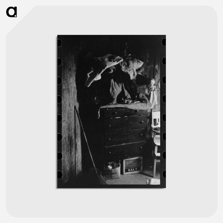 アートポストカード-Privy in Corral
 - ラッセル リー Postcard.