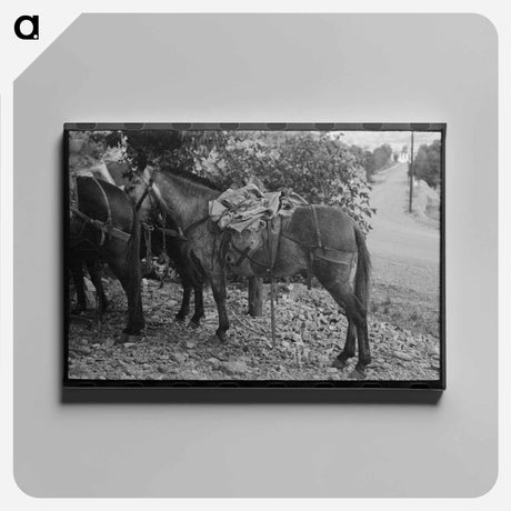アートパネル-Mule Train, Ouray, Colorado
 - ラッセル リー Canvas.