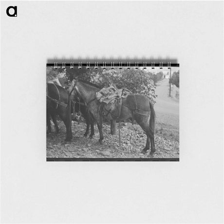 アートメモ帳-Mule Train, Ouray, Colorado
 - ラッセル リー Memo.