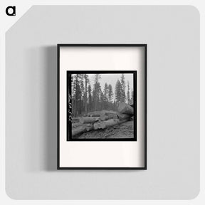 アートポスター-Logs in Malheur National Forest
 - ラッセル リー Poster.