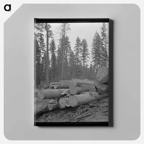 アートパネル-Logs in Malheur National Forest
 - ラッセル リー Canvas.
