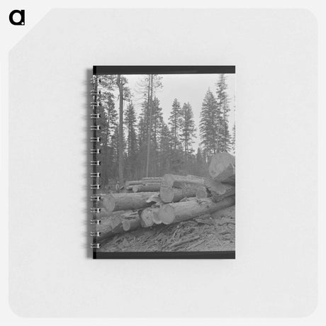 アートメモ帳-Logs in Malheur National Forest
 - ラッセル リー Memo.