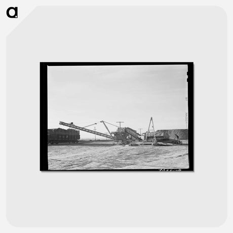 アートポストカード-Sugar Beet Loader by Railroad
 - ラッセル リー Postcard.