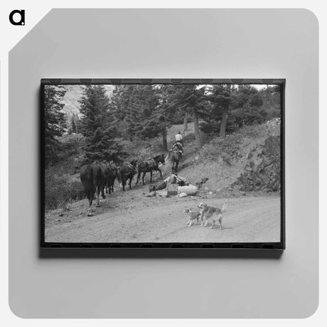 アートパネル-Sheepherder and Horses, Ouray County
 - ラッセル リー Canvas.