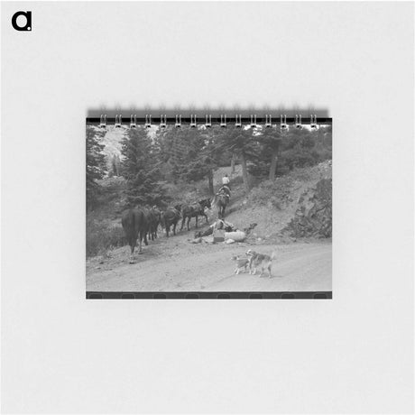 アートメモ帳-Sheepherder and Horses, Ouray County
 - ラッセル リー Memo.