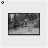 アートポストカード-Sheepherder and Horses, Ouray County
 - ラッセル リー Postcard.