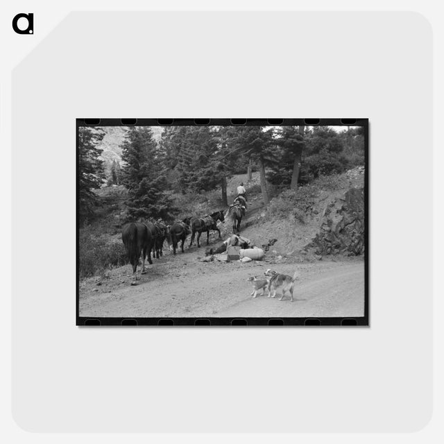 アートポストカード-Sheepherder and Horses, Ouray County
 - ラッセル リー Postcard.