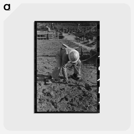アートポストカード-Shasta Dam Construction
 - ラッセル リー Postcard.