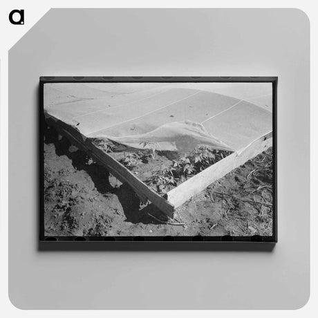 アートパネル-Corner of Frame Garden
 - ラッセル リー Canvas.