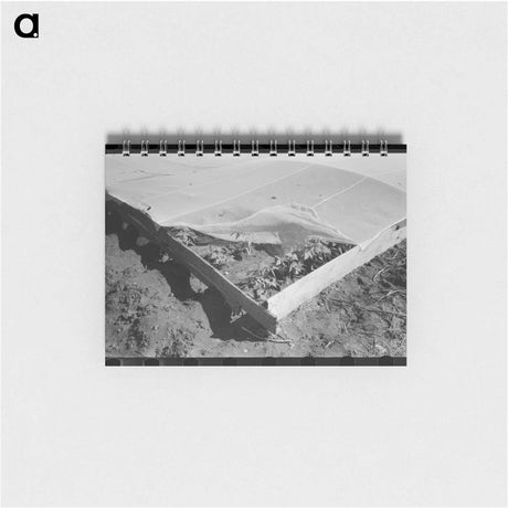 アートメモ帳-Corner of Frame Garden
 - ラッセル リー Memo.